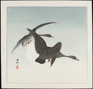 Gæs på flugt, før 1912 af Ohara Koson